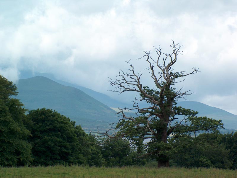 Killarney National Park