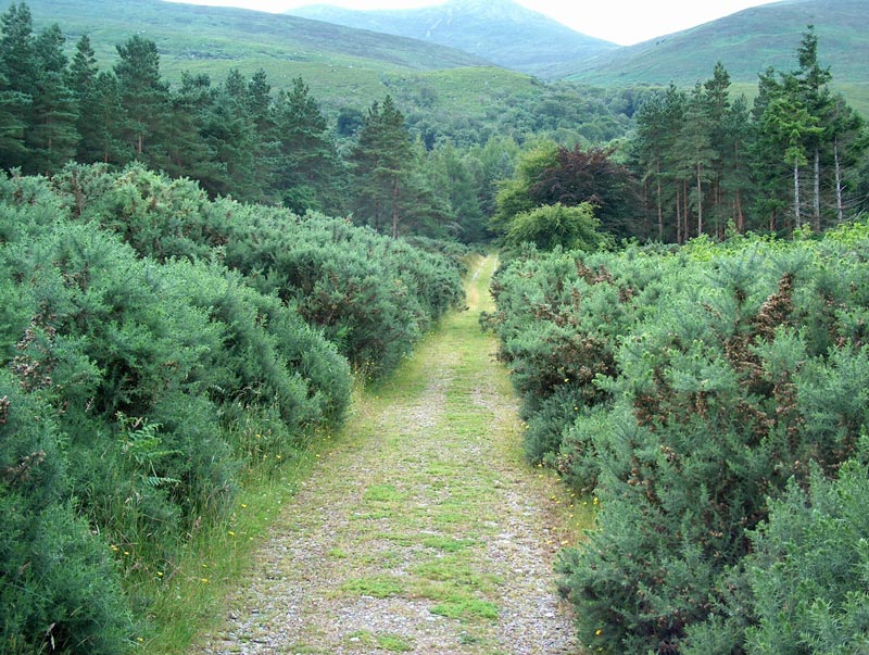 Killarney National Park, vstup do rezervace