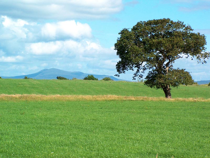 Killarney, okolí