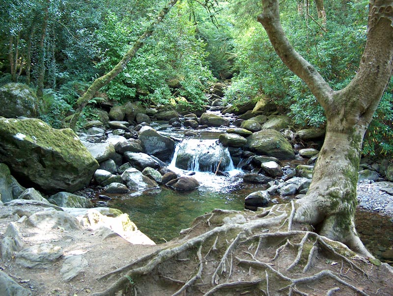 Torc, řeka Owengarriff