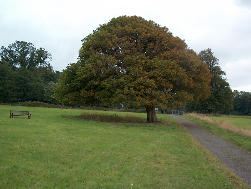 Killarney National Park