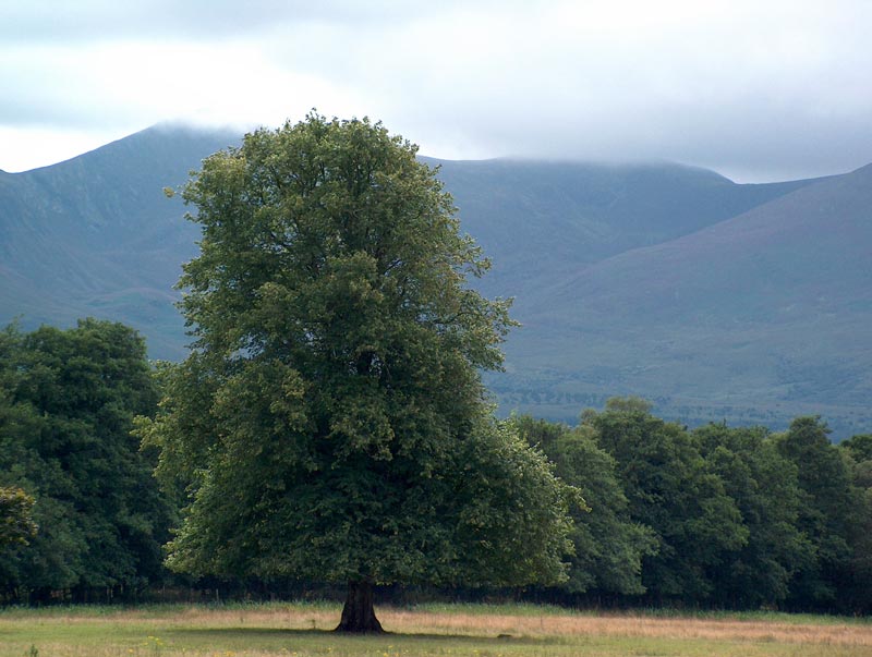 Killarney National Park