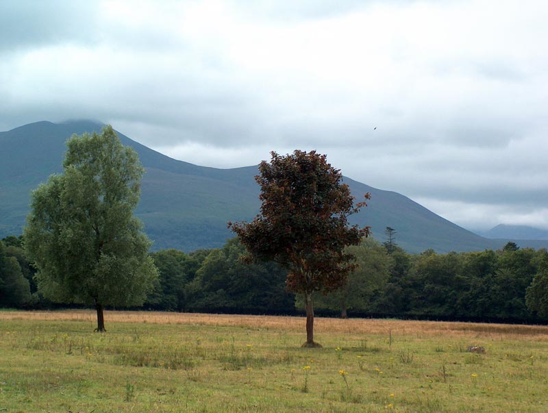 Killarney National Park