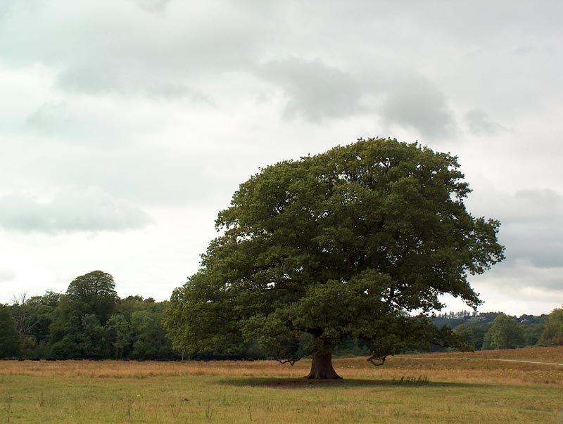 Killarney National Park